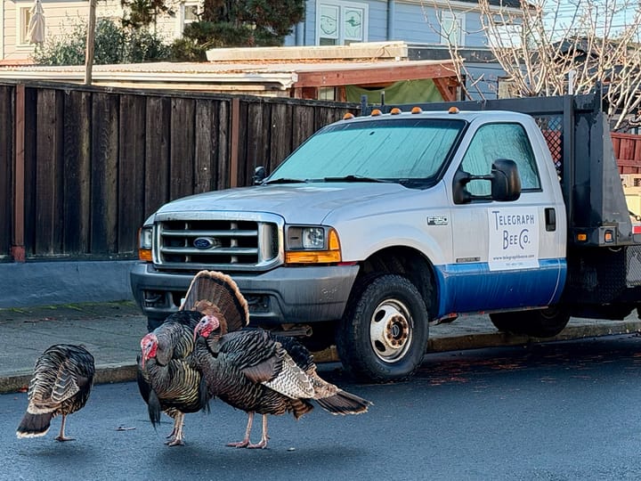 Your gift, matched up to $5,000, will help bring news to Albany